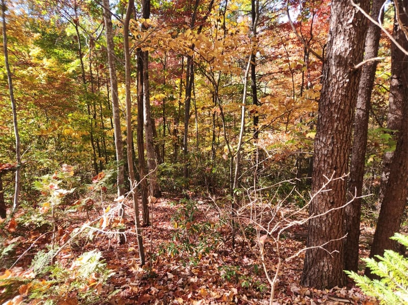 00 Angel Of The Lake Dr #17, Lake Lure, NC 28746