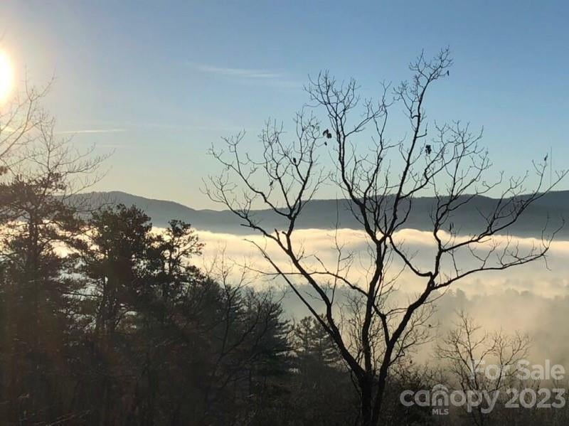 Lot M6 Pine Mountain Trl #M6, Brevard, NC 28712