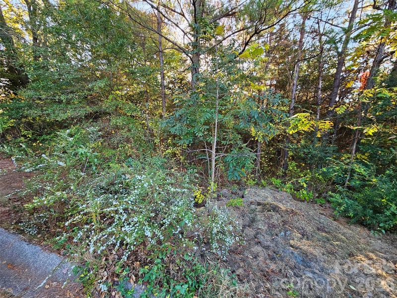 General Griffith Cir #25, Rutherfordton, NC 28139