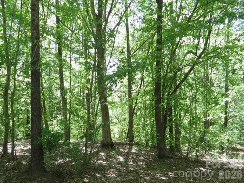 General Griffith Cir #25, Rutherfordton, NC 28139