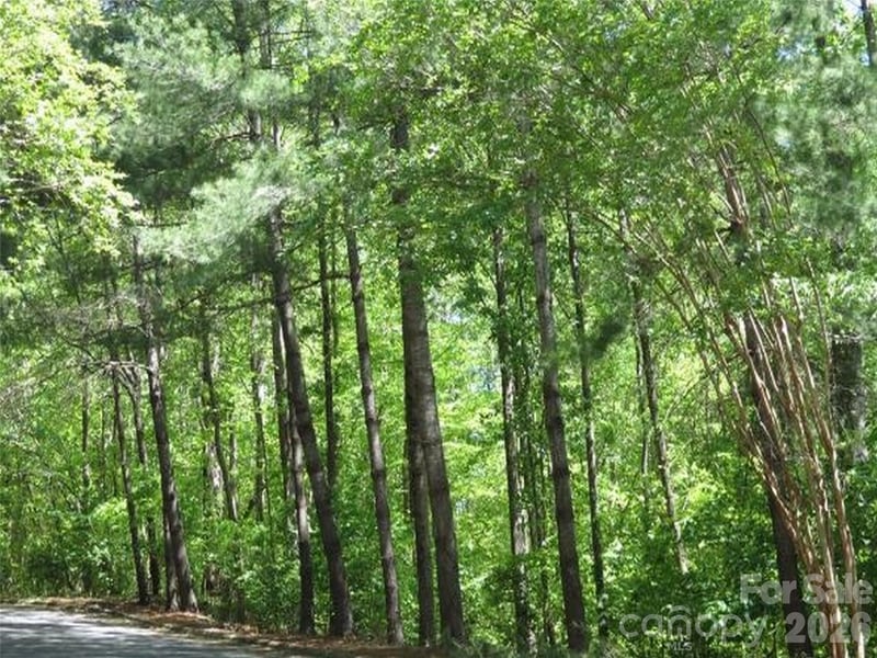 General Griffith Cir #25, Rutherfordton, NC 28139