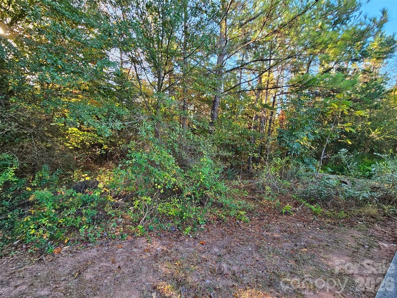 General Griffith Cir #25, Rutherfordton, NC 28139