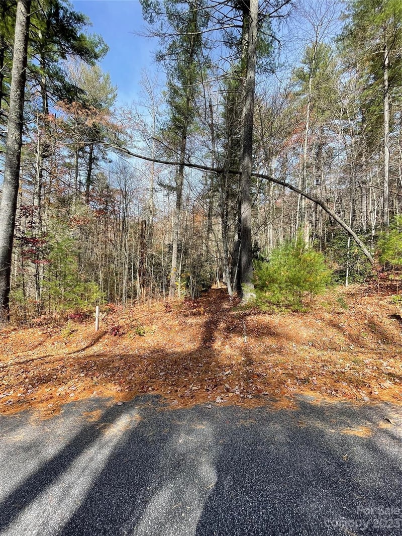 0000 Juniper Berry Ln, Zirconia, NC 28792
