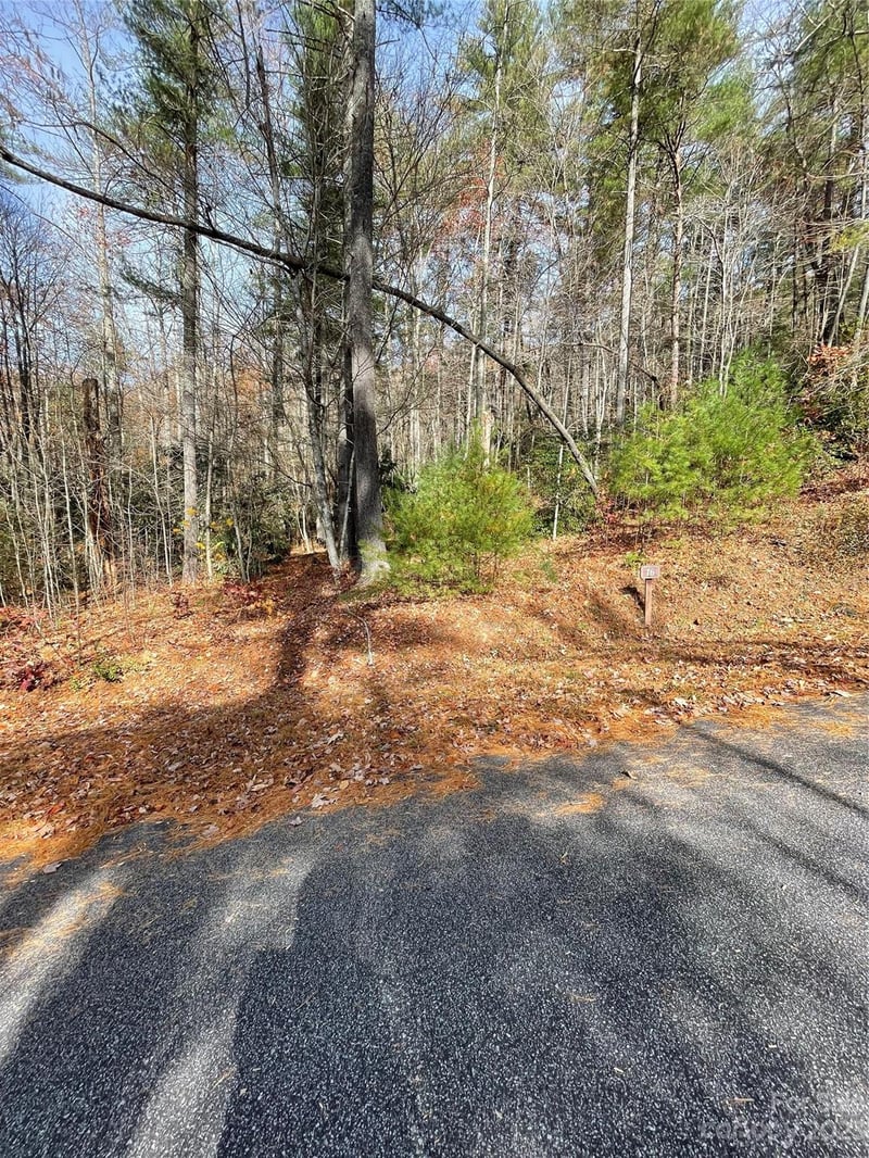 0000 Juniper Berry Ln, Zirconia, NC 28792