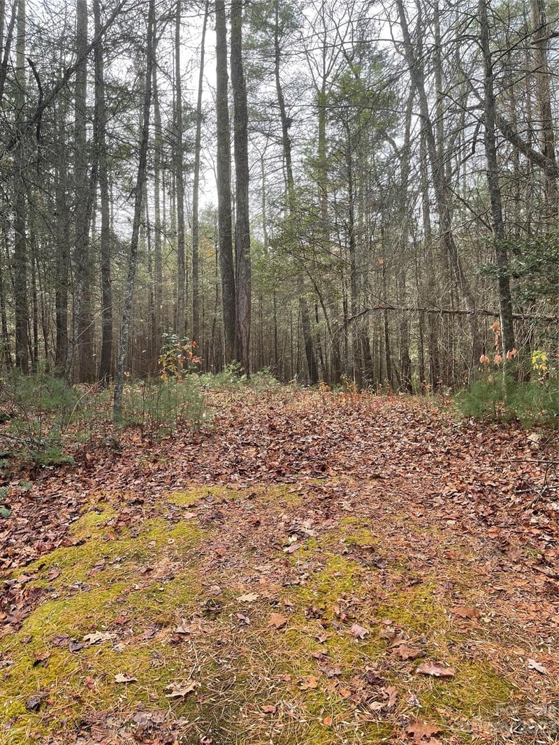 50 Mountain Escape Dr, Zirconia, NC 28790