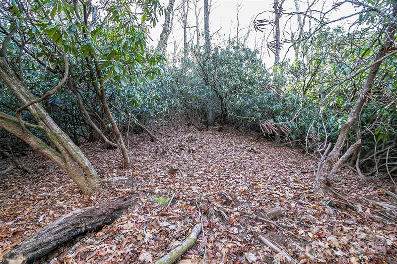 TBD Dundee Ln #6A, Pisgah Forest, NC 28768