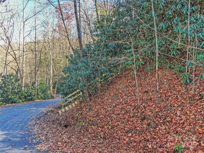 TBD Dundee Ln #6A, Pisgah Forest, NC 28768