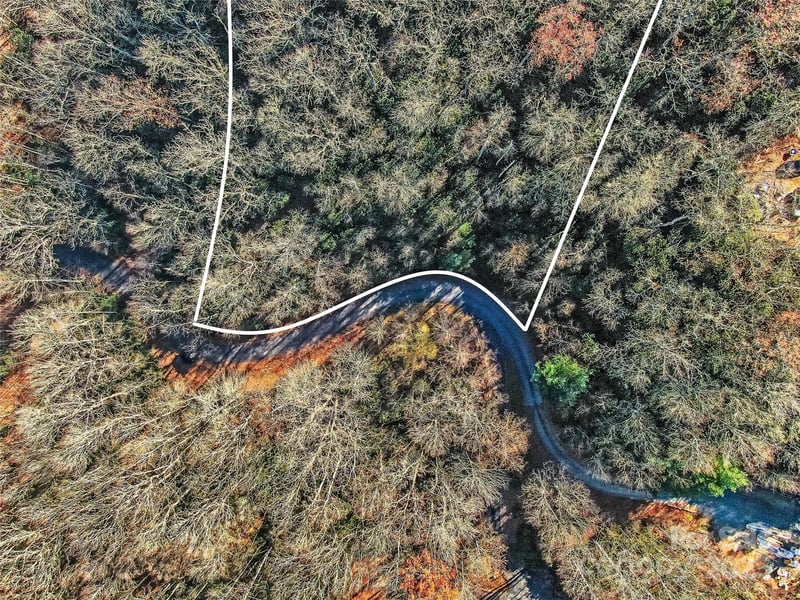 TBD Dundee Ln #6A, Pisgah Forest, NC 28768