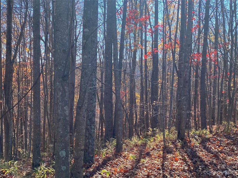 TBD Meditation Ridge Dr #43, Nebo, NC 28761