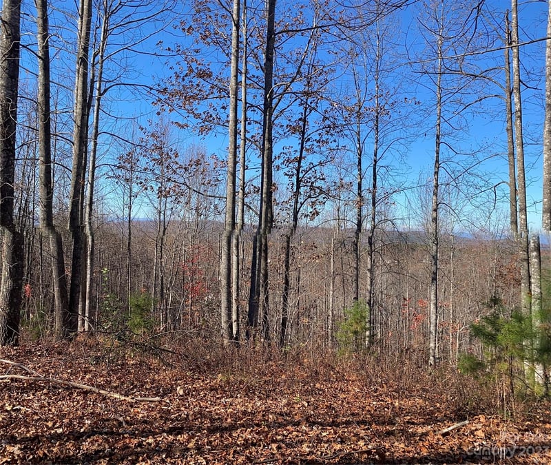 TBD Meditation Ridge Dr #43, Nebo, NC 28761