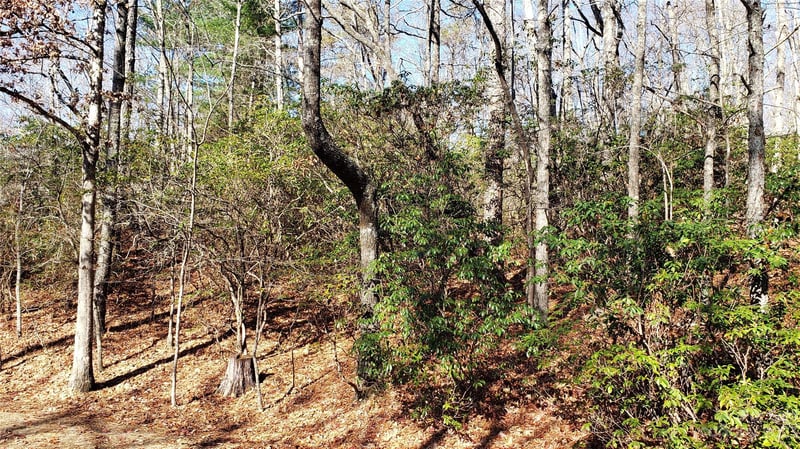 9999 Galax Ln #G-11, Brevard, NC 28712