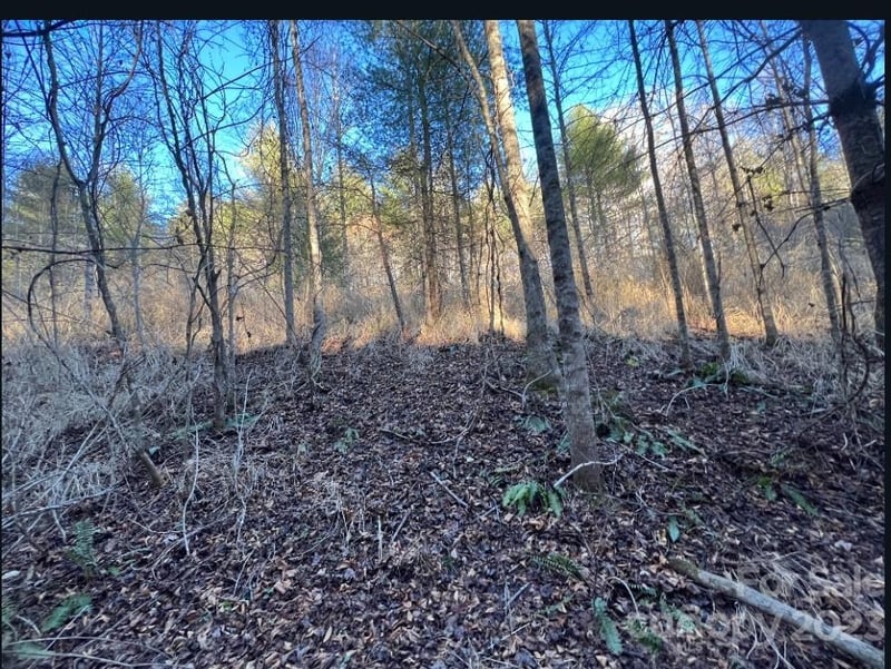 000 Grapevine Rd, Marshall, NC 28753