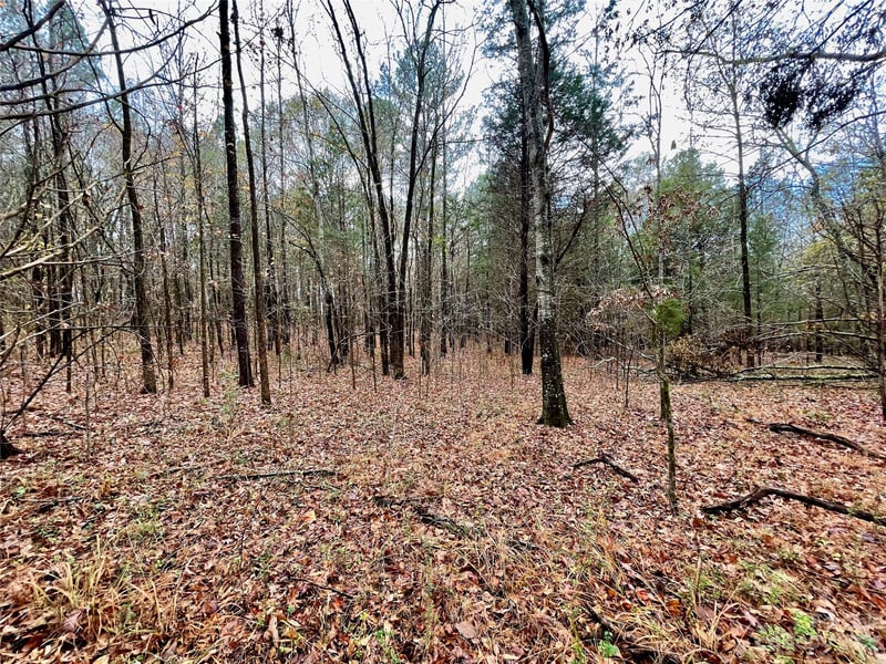 2234 Corinth Rd, Gaffney, SC 29340