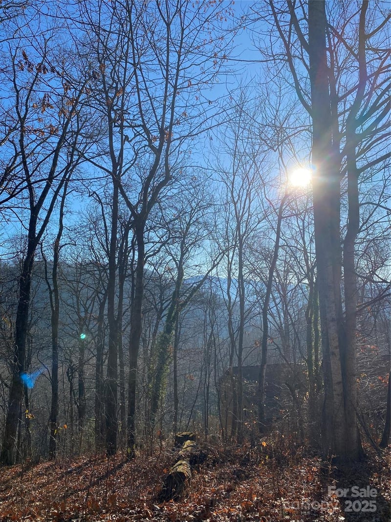 000 Wash Freeman Rd, Hendersonville, NC 28792