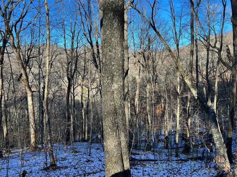 000 El Miner Dr #551, Mars Hill, NC 28754