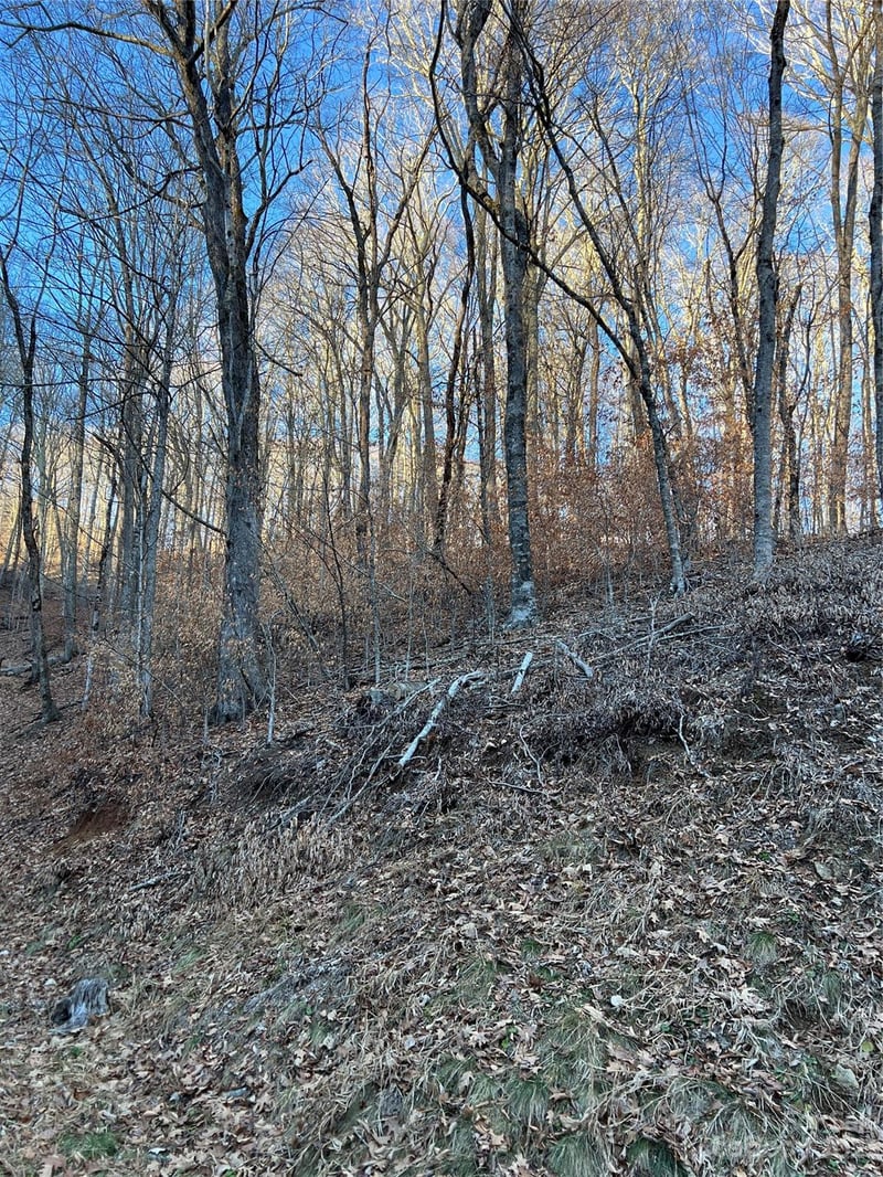 000 Chestnut Ln #80, Mars Hill, NC 28754
