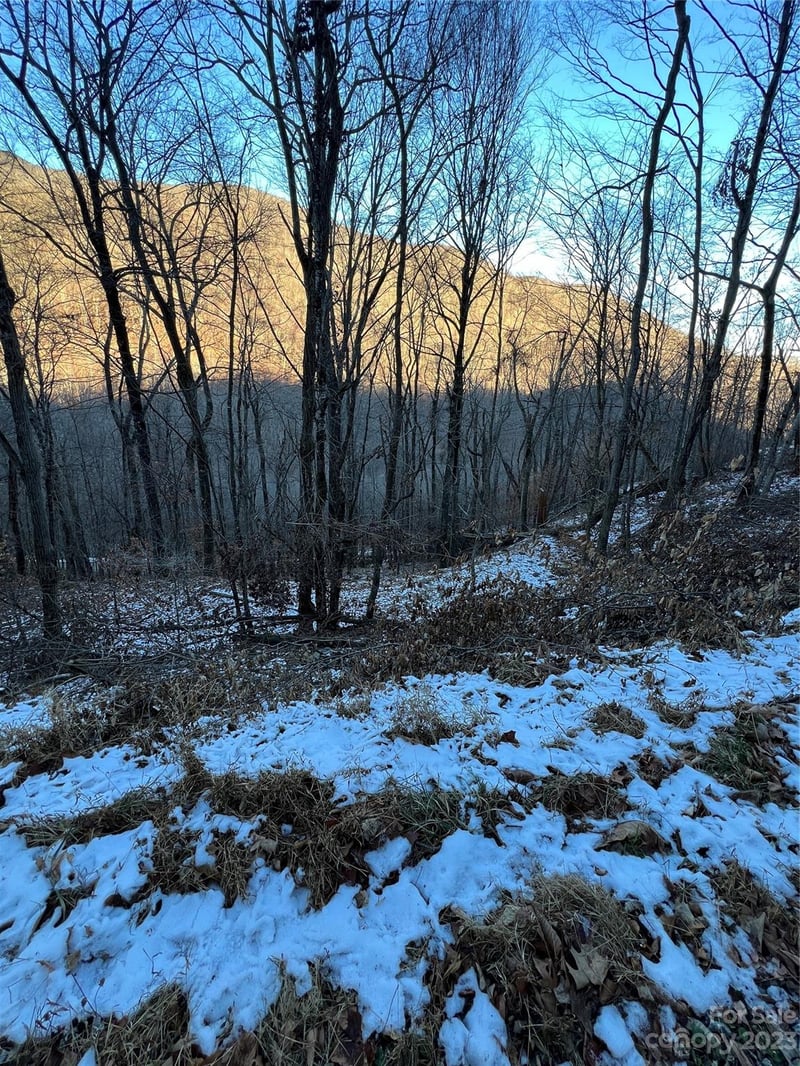 000 Puncheon Ln #170, Mars Hill, NC 28754