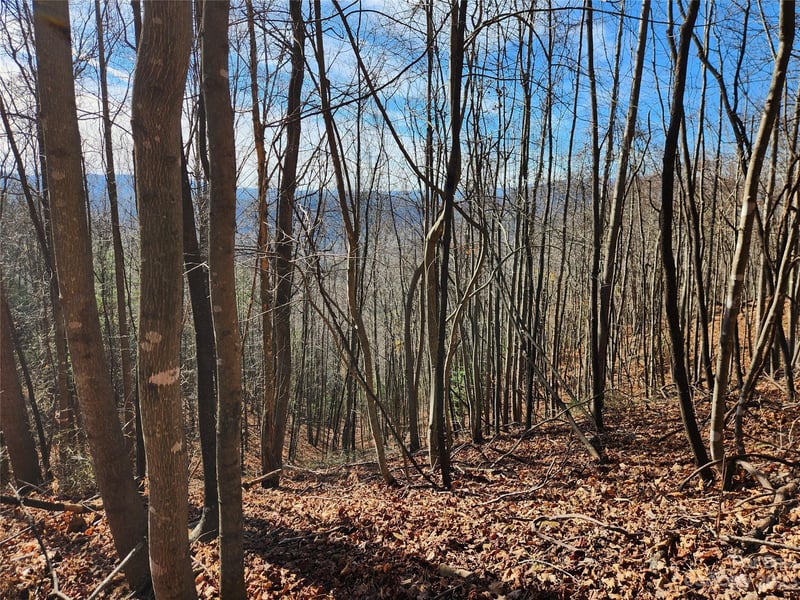 6900 Mertie Rd, Millers Creek, NC 28651