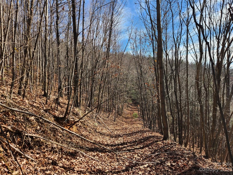 6900 Mertie Rd, Millers Creek, NC 28651