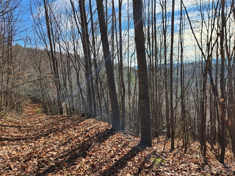 6900 Mertie Rd, Millers Creek, NC 28651
