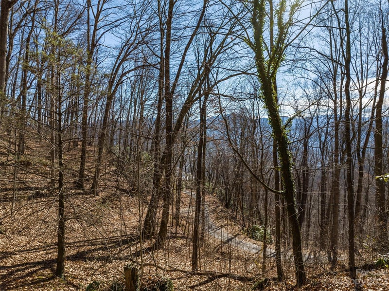 933 Dogwood Trl, Waynesville, NC 28786