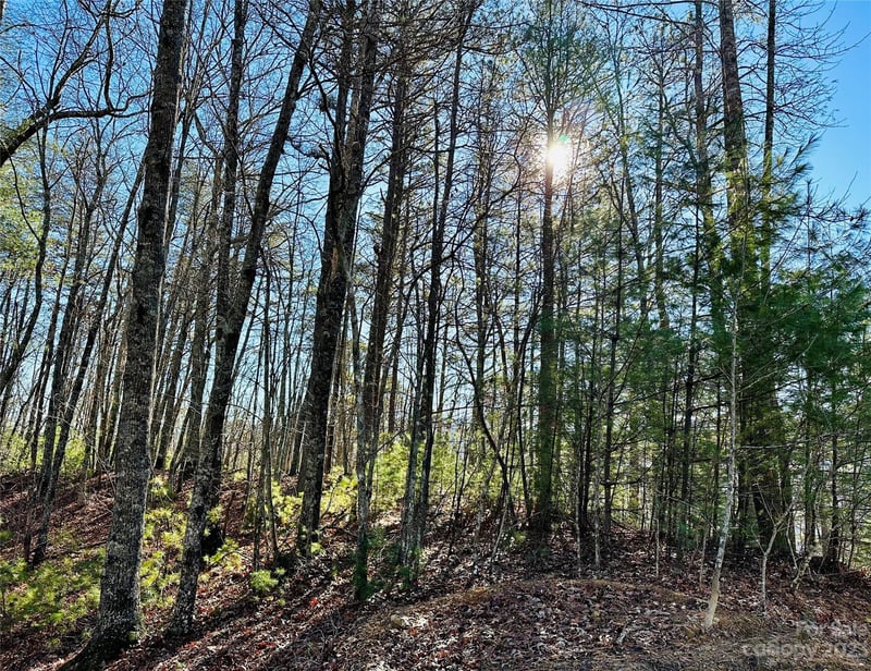 71 Turkey Trot Trl #16, Marshall, NC 28753