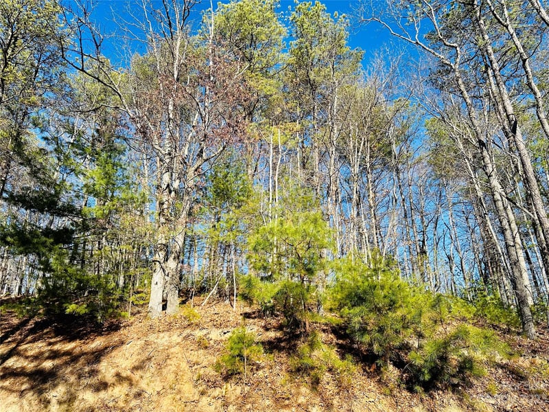 71 Turkey Trot Trl #16, Marshall, NC 28753