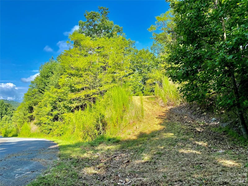 Lot 1 Pinnacle Dr, Boomer, NC 28665