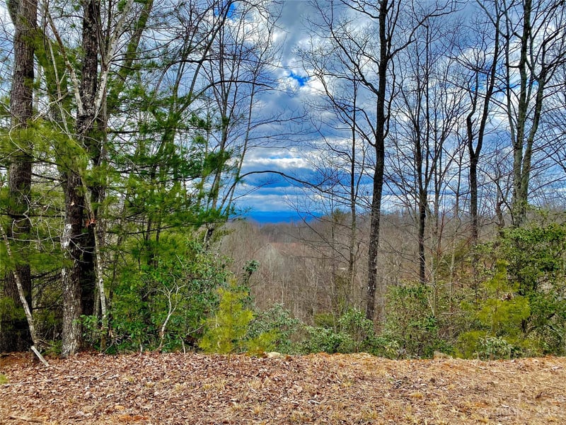 Lot 1 Pinnacle Dr, Boomer, NC 28665