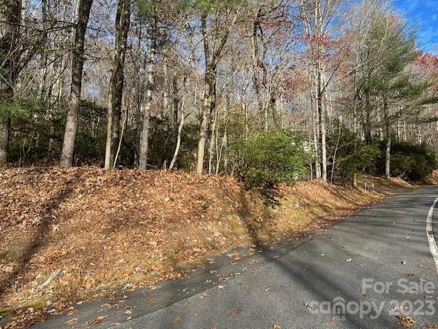 TBD Echota Ln, Brevard, NC 28712