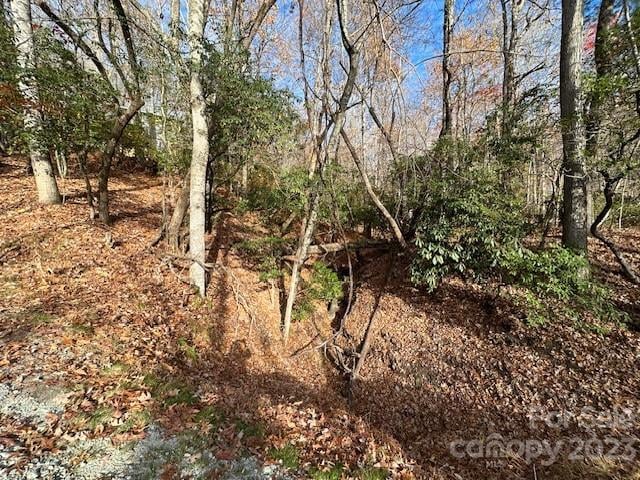 TBD Echota Ln, Brevard, NC 28712
