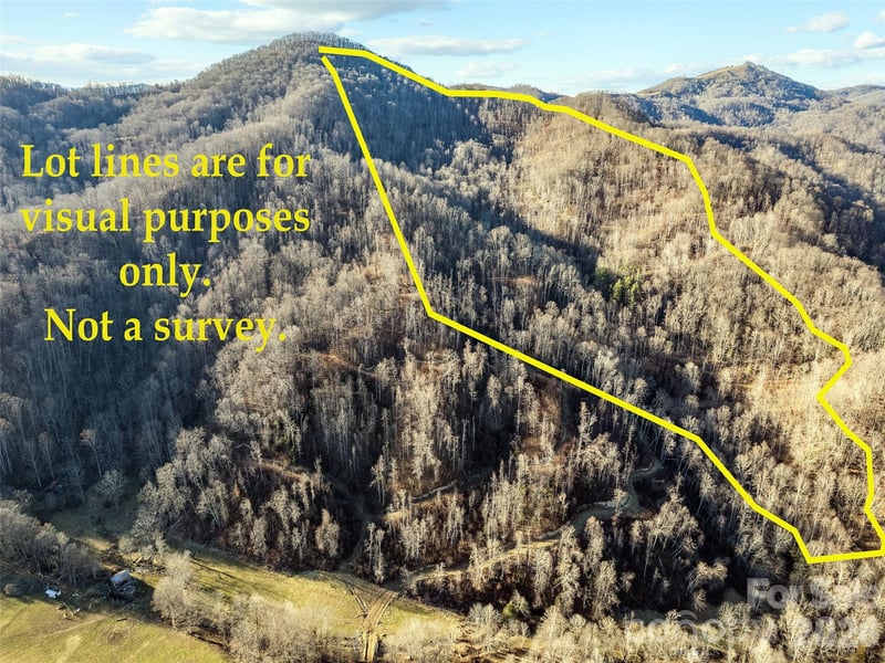 00 Nc 209 Hw, Spring Creek, NC 28743