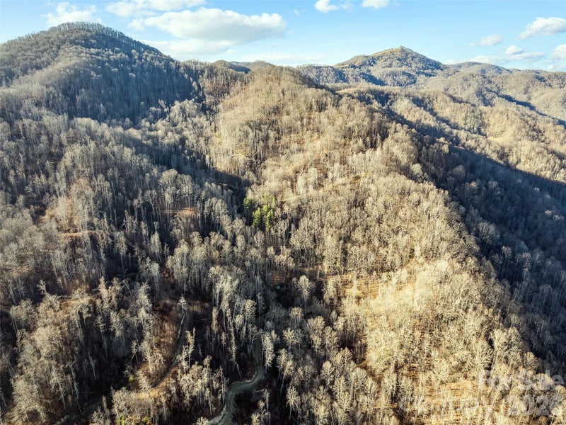 00 Nc 209 Hw, Spring Creek, NC 28743