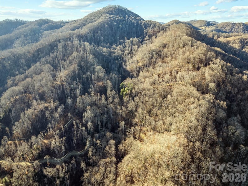 00 Nc 209 Hw, Spring Creek, NC 28743