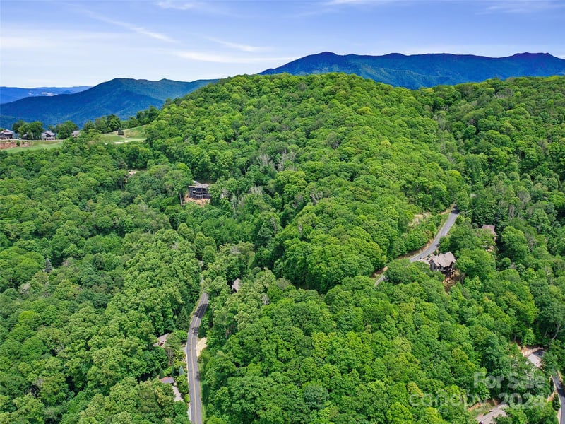 Lot 17 Old Growth Forest Rd, Burnsville, NC 28714