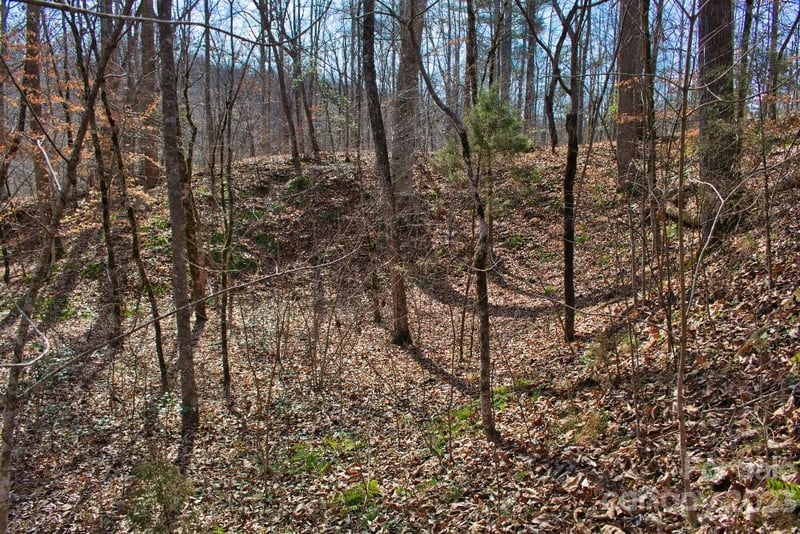 Woodstock Ln #170, Rutherfordton, NC 28139