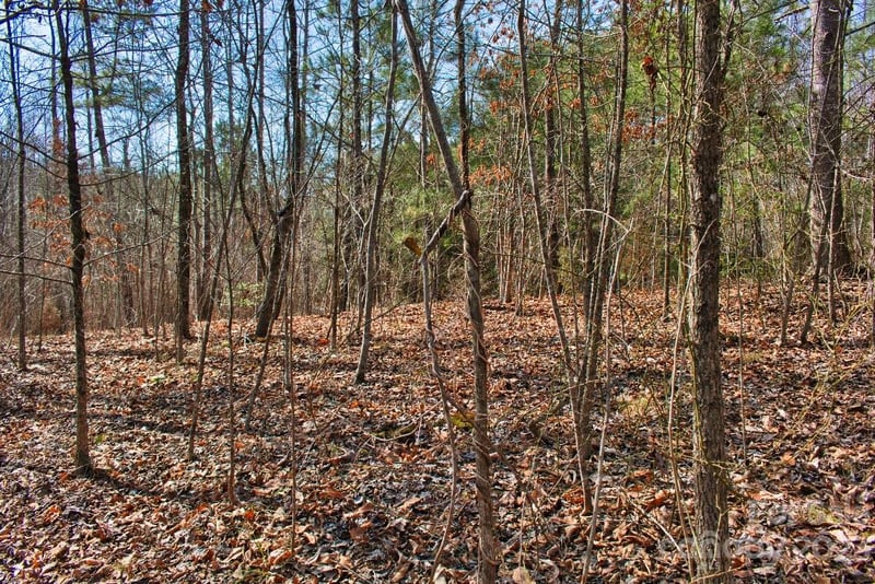 Woodstock Ln #170, Rutherfordton, NC 28139