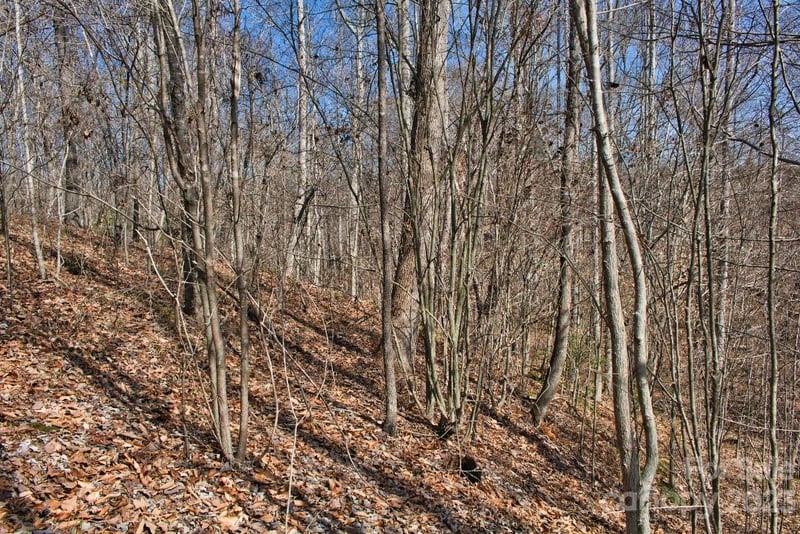 Woodstock Ln #170, Rutherfordton, NC 28139