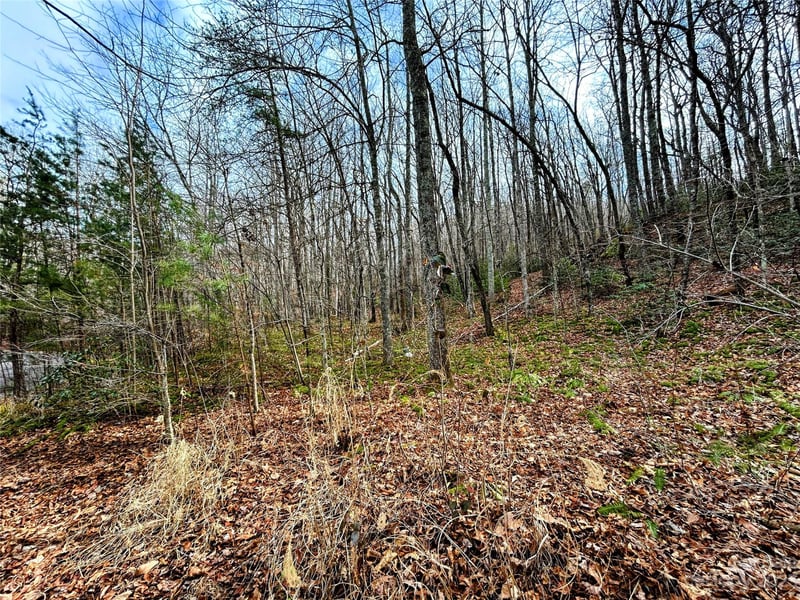 Lot 7 Azalea Way, Saluda, NC 28773