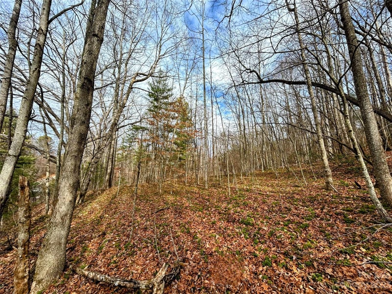 Lot 8 Azalea Way, Saluda, NC 28773