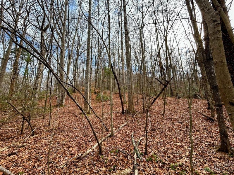 Lot 8 Azalea Way, Saluda, NC 28773