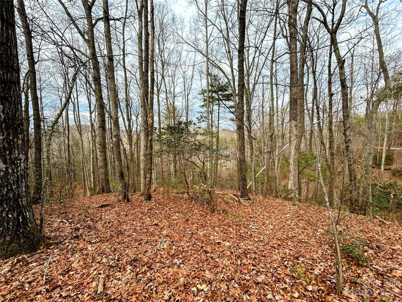 Lot 11 Rhododendron Dr, Saluda, NC 28773