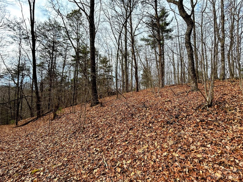 Lot 12 Rhododendron Dr, Saluda, NC 28773
