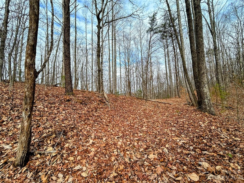 Lot 12 Rhododendron Dr, Saluda, NC 28773