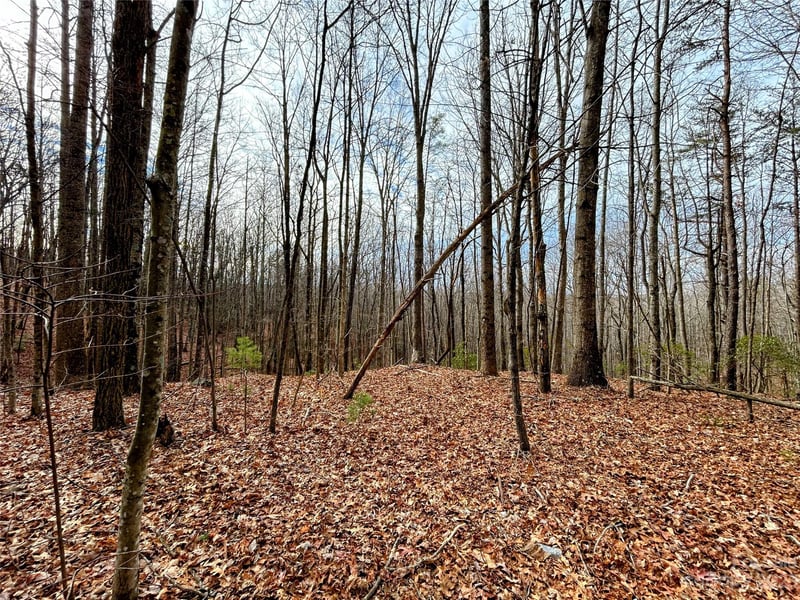 Lot 14 Rhododendron Dr, Saluda, NC 28773