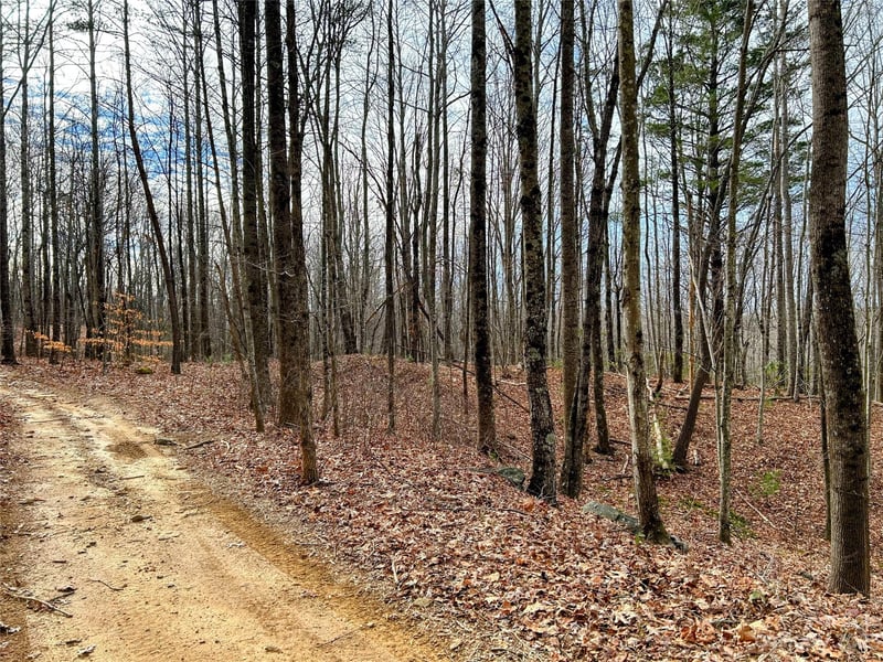 Lot 14 Rhododendron Dr, Saluda, NC 28773