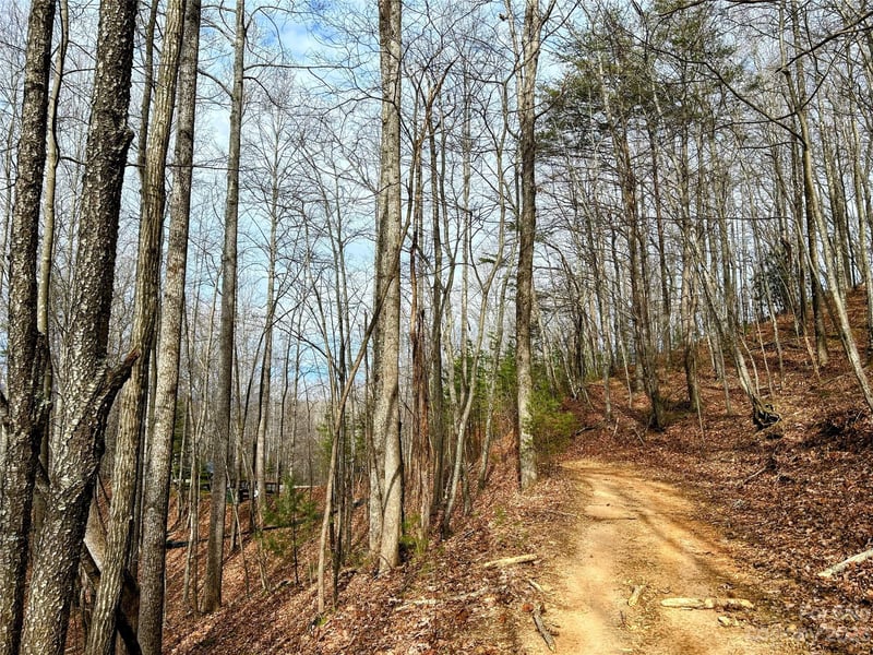 Lot 14 Rhododendron Dr, Saluda, NC 28773