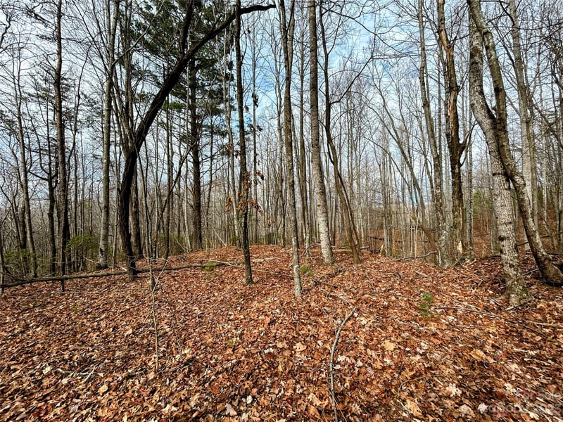 Lot 14 Rhododendron Dr, Saluda, NC 28773