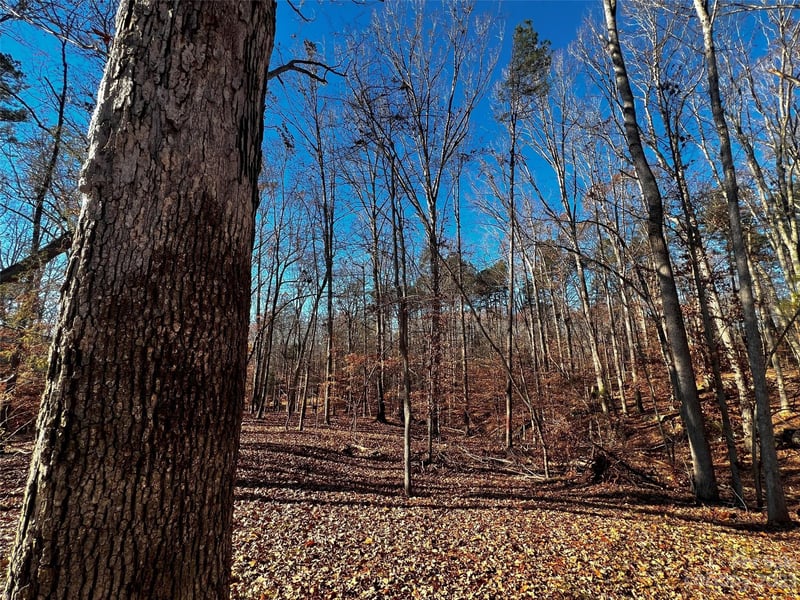 146 Copper Pine Ln #3, Davidson, NC 28036