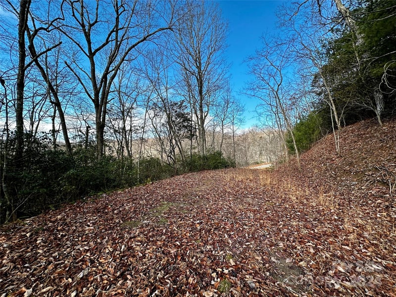 Lot 47 Nickajack Rd #47, Franklin, NC 28734